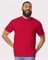 Gildan Softstyle Crewneck Short Sleeve T-Shirt for Casual Wear, Printing & Everyday Cotton Comfort Tee